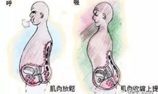 正确的提肛运动图解 正确的提肛运动图解