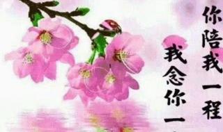 最远的你最近的爱