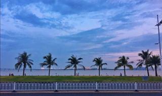 散落的月光穿过了云完整歌词 散落的月光穿过了云