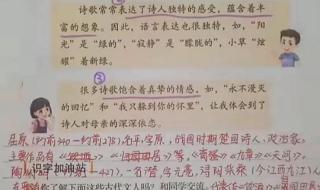 小学语文四年级下册